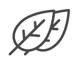 Icon: zwei Blätter