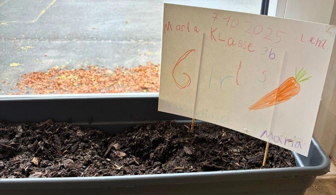 Blumenkasten am Fensterbrett in einer Grundschule